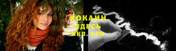 дмт Абинск