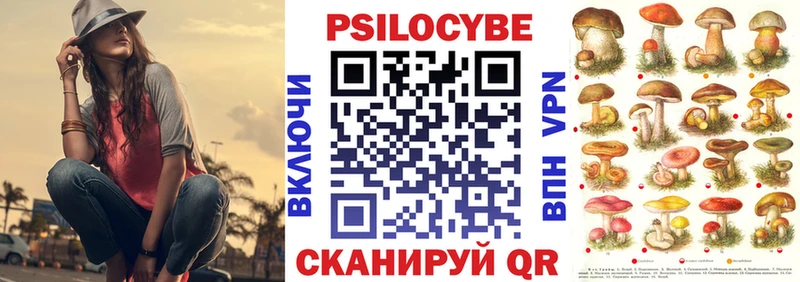 дарнет шоп  Отрадное  Псилоцибиновые грибы мицелий 