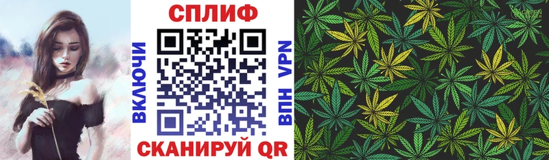 Канабис White Widow  Отрадное 